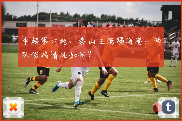中超第六轮，泰山主场踢海港，两队伤病情况如何？