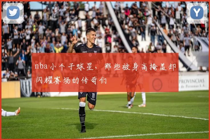 nba小个子球星，那些被身高掩盖却闪耀赛场的传奇们