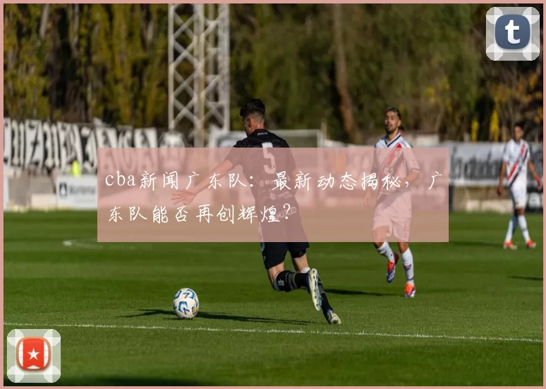 cba新闻广东队：最新动态揭秘，广东队能否再创辉煌？