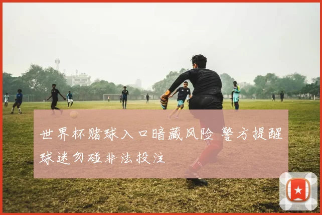 世界杯赌球入口暗藏风险 警方提醒球迷勿碰非法投注